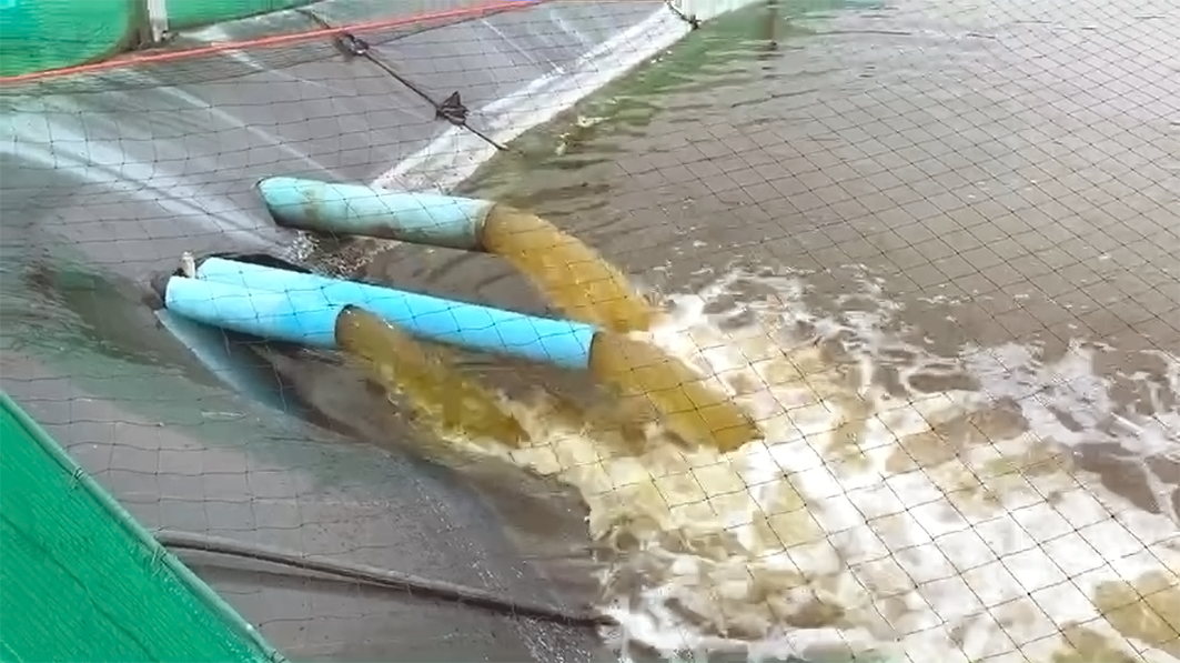 Shrimp Farm Water System in Chachoengsao, Thailand Shrimp Farm Water System in Chachoengsao, Thailand